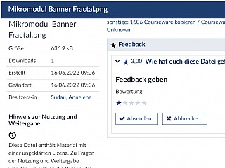 Feedbackelement feedback geben